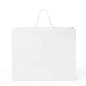 White Large Paper Bags (250 Bags per Case)