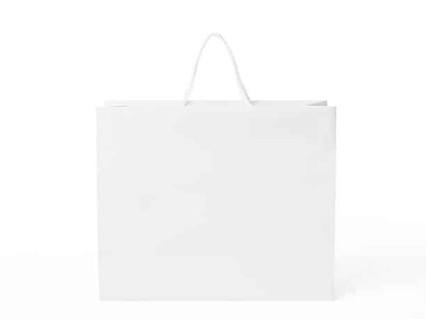 White Large Paper Bags (250 Bags per Case)